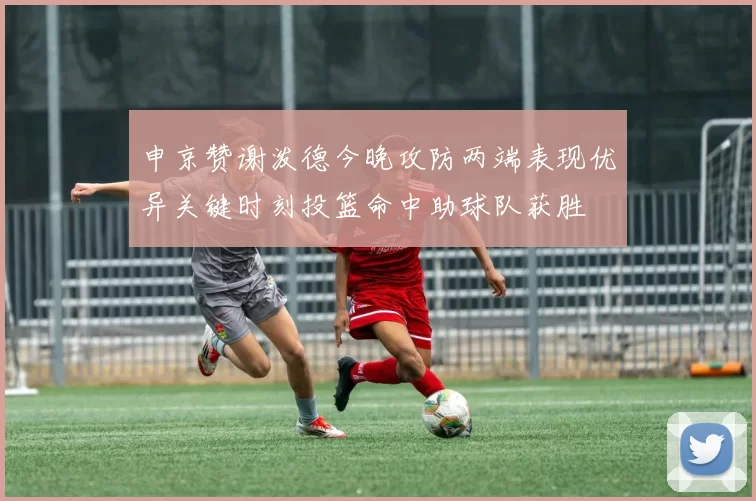 申京赞谢泼德今晚攻防两端表现优异关键时刻投篮命中助球队获胜